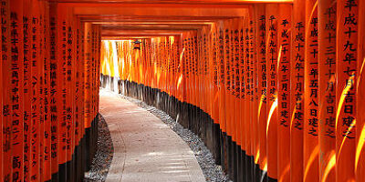 Les torii du sanctuaire Fushimi Inari-taisha - Japon