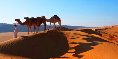 Desert Nights Camp - Oman