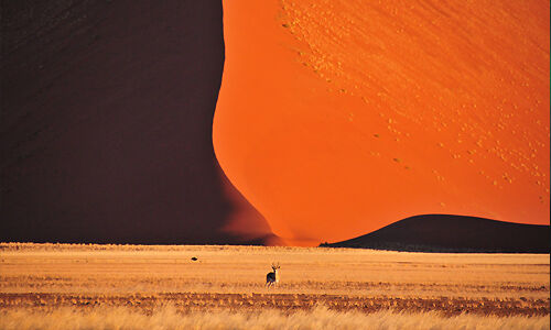 voyage_afrique_decouvrir_namibie_desert_du_namib