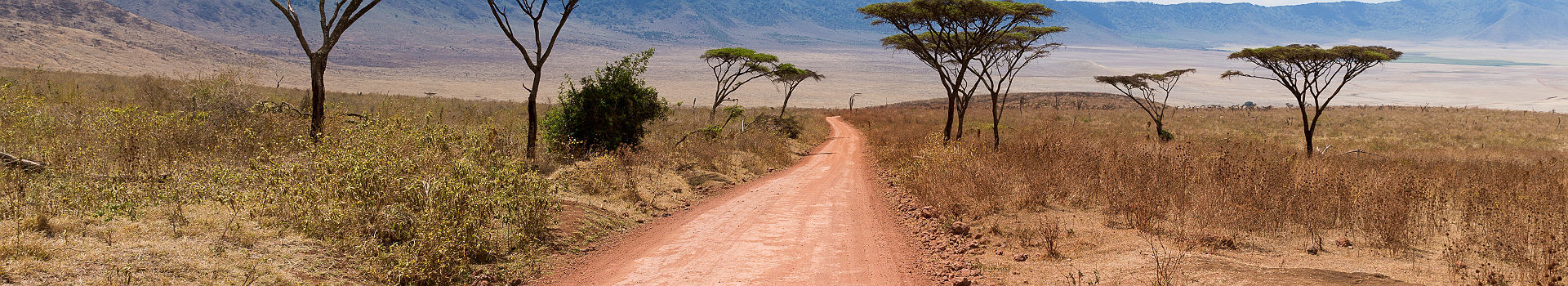 Afrique - Sur la route du safari dans la réserve naturelle de Ngorongoro