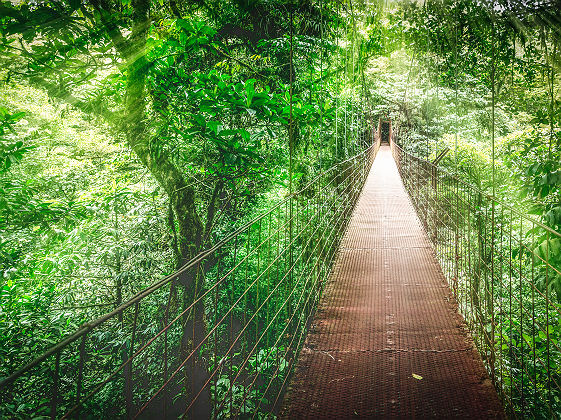 Costa Rica - Pont suspendu au parc national du Volcan Arenal