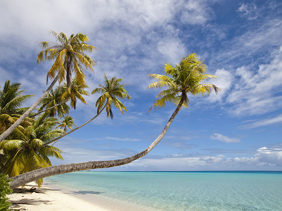 Atoll de Fakarava situé dans l'archipel des Tuamotu en Polynésie française