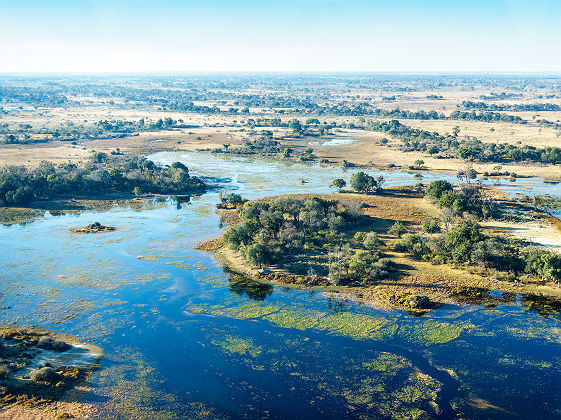 Afrique - Vue du delta d'Okavango