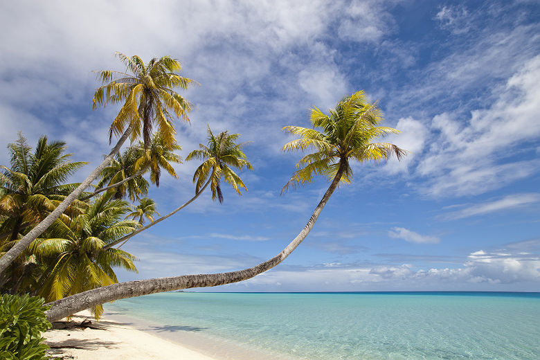 Atoll de Fakarava situé dans l'archipel des Tuamotu en Polynésie française