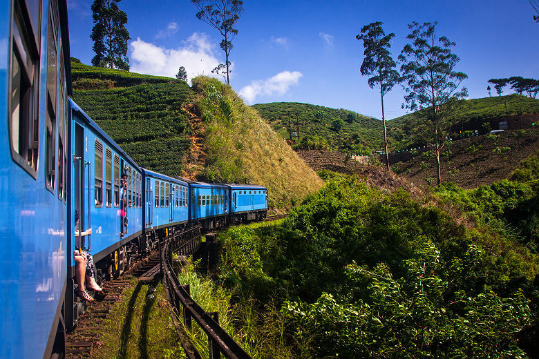 Sri Lanka - Train de Nuwara Eliya à Kandy traverse des champs de plantations de thè
